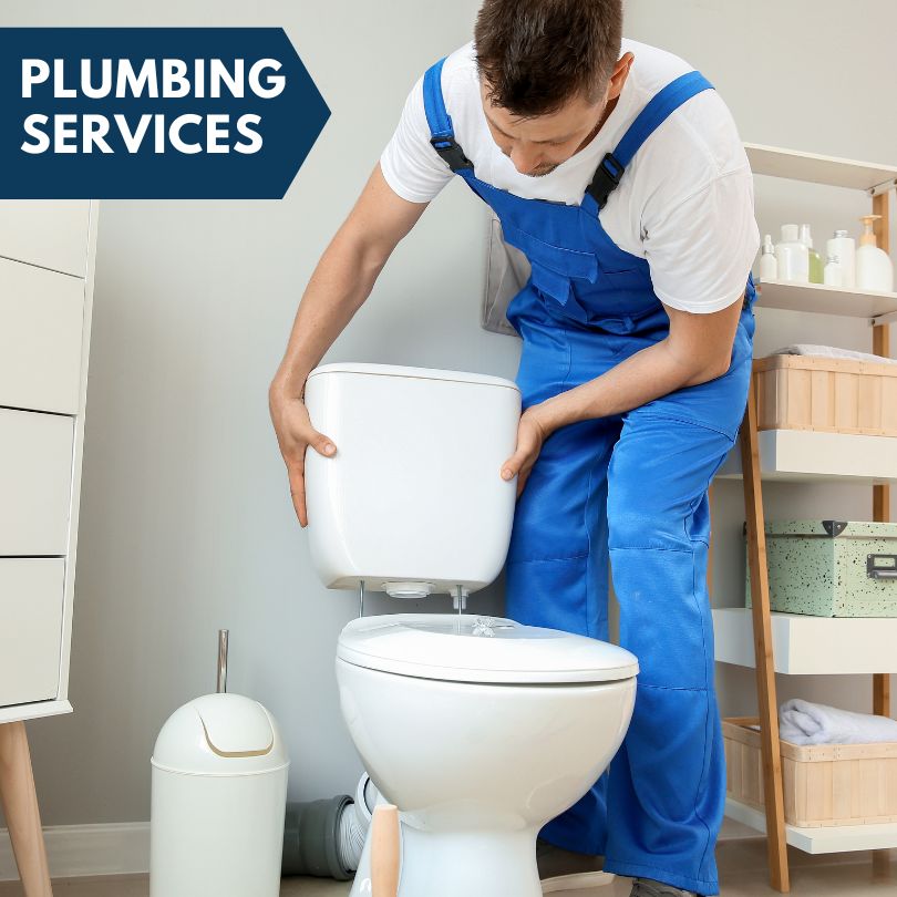 Plumbing Company in Portland, MI